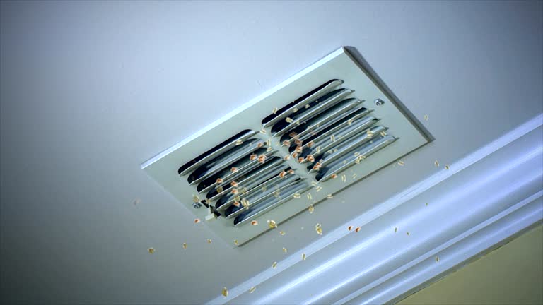 Best Air Duct Inspection  in Rutherford, PA