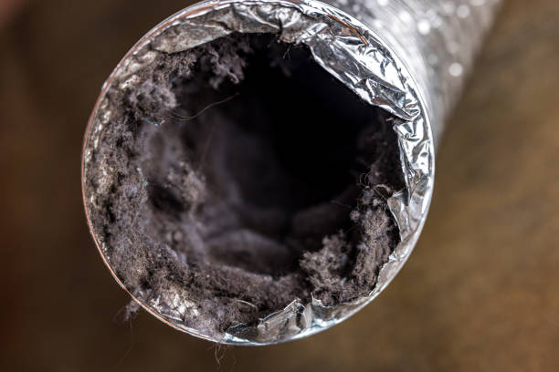 Best Local Air Duct Cleaning Services  in Rutherford, PA
